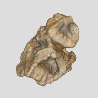 3D scan mineral rock #4